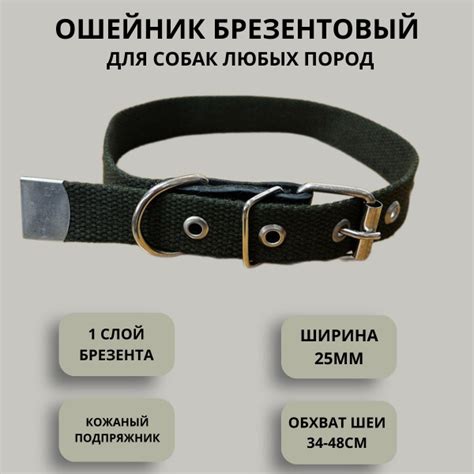 Ошейник для собак брезентовый 25 мм однослойный зеленый - купить с ...