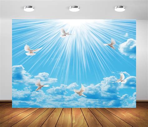 Amazon BELECO 10x6 5ft Fabric White Peace Doves Backdrop Holy