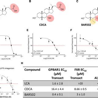 LIFR Inhibition Reverses PDAC Cell Proliferation Promoted By LIF MIA