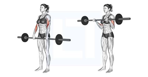 Dumbbell Reverse Wrist Curl - Guide, Benefits, and Form