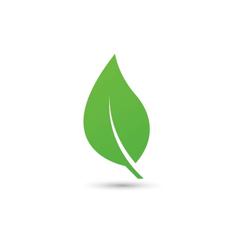 a beautiful leaf concept design for icon, logo, mark, banner. fresh green natural vector leaf on ...