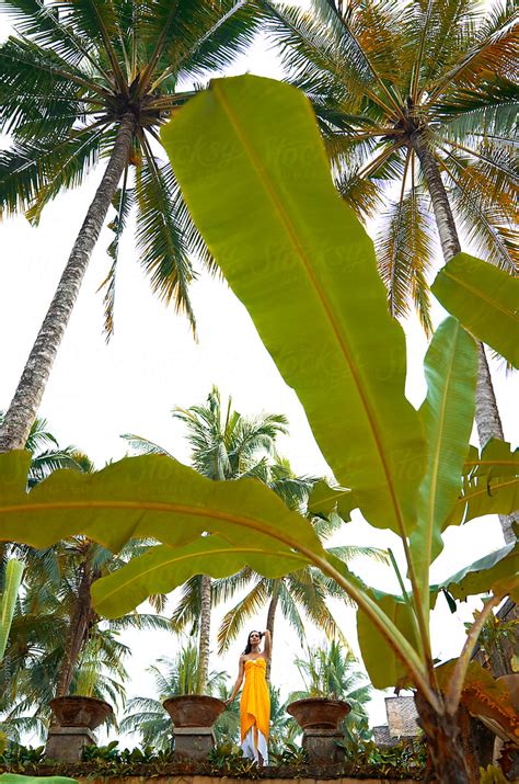 Woman With Palm Tree S By Stocksy Contributor Colin Anderson Stocksy