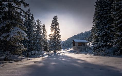 桌布 冬天，小屋，樹木，厚厚的雪，寒冷 1920x1440 高清桌布 圖片 照片