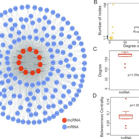 Function Enrichment Maps Of The Diagnostic LncRNAs A The Functional