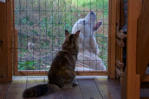 Санатория инсайд: golosoff — LiveJournal