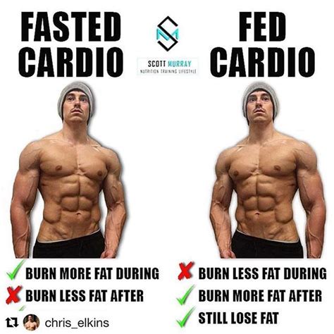 Is It Better To Workout Fasted Or Fed Jaida Has Gillespie