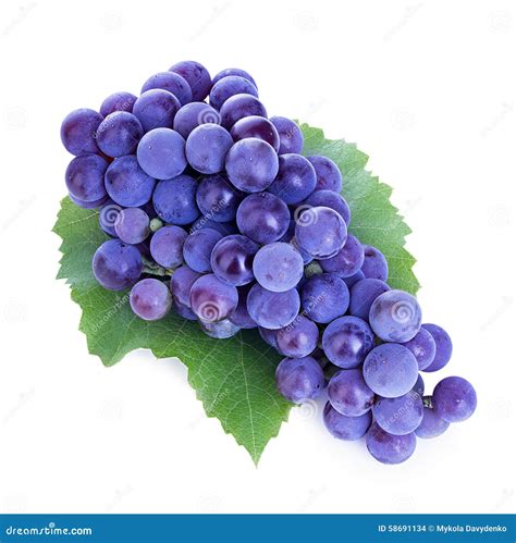 Grapes Isolated On White Stock Photo Image Of Harvest 58691134