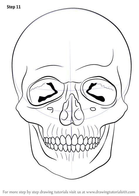 Learn How To Draw A Skull Skulls Step By Step Drawing Tutorials