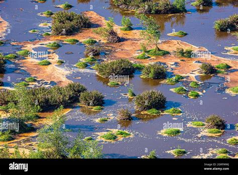 France French Guiana Mana Aerial View Of The Coastal Wetland Aerial