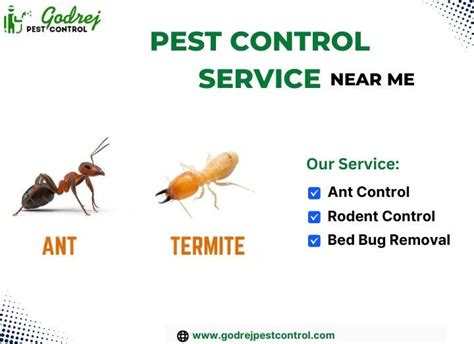 Professional Pest Control Services Near Me Godrej Pest Control By