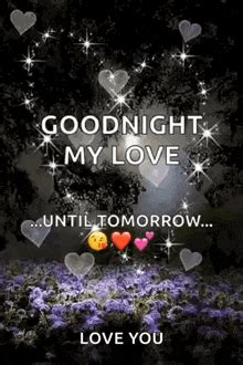 Good Night My Love Images Hd Infoupdate Org