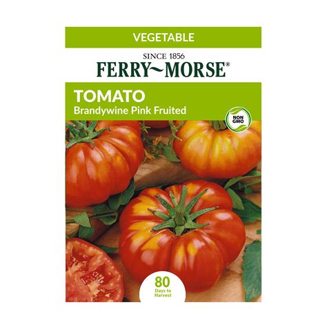 Ferry Morse 15MG Tomato Brandywine Pink Fruited Vegetable Plant Seed