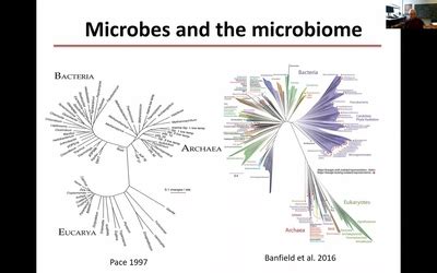 Metagenomics And Bioremediation University Of California Davis