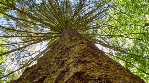 Im Wisper Outback Premium Wanderwege Wisper Trails Im Taunus