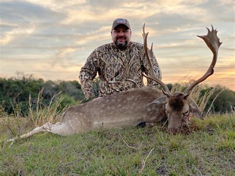 Fallow Deer Hunting Florida Hunting Fishing Outdoor Adventures