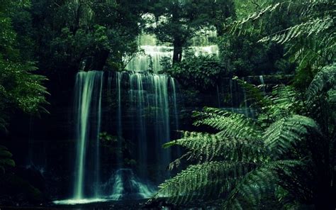 🔥 40 Tropical Waterfalls Wallpapers Wallpapersafari