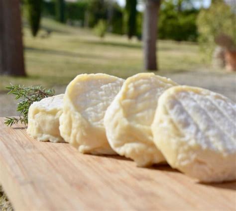 D Couvrez Le P Lardon Fromage Des C Vennes Aop Temps Gourmand