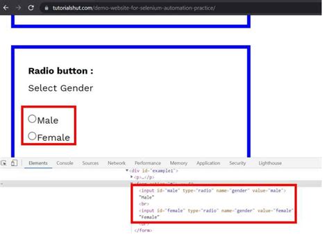 How To Handle Radio Button In Selenium WebDriver With Example