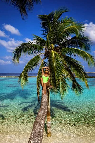 Hermosa mujer en bikini en una palmera en la paradisíaca playa de Maldivas Modelo sexy posando
