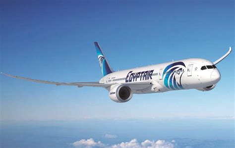 15 Facts About Egyptair Facts Net