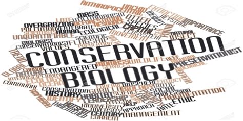 Conservation Biology - Assignment Point