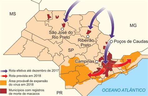 Quest O Fuvest Geografia Biogeografia Respondida E Comentada