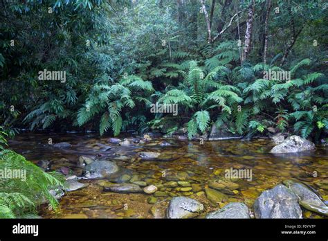 Garden Route National Park Stock Photo - Alamy