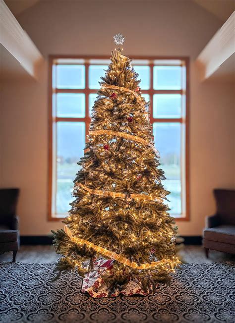 Historians explain where mcgeehan funeral homes martin chapel obituaries are kept 3