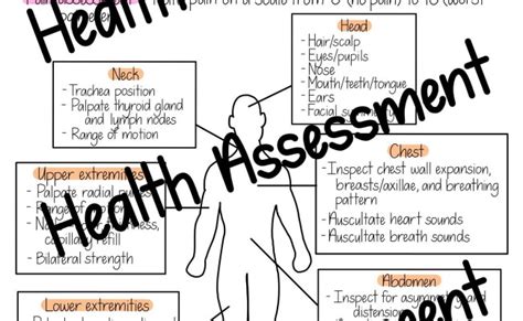 Head To Toe Assessment Nursing Cheat Sheet Slide Share Theme Hill