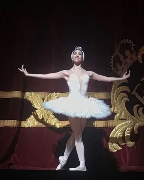 Swan Lake Costumes — Ballet Style Swan Lake Costumes Ballet Fashion