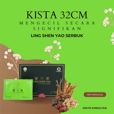 Jual Ling Shen Yao Serbuk Obat Kista Miom Endometriosis Kanker Tumor