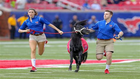 Discover More In Smu Mustangs On Flipboard