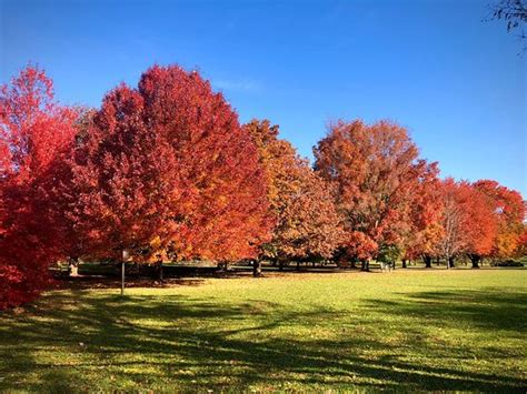 University Of Wisconsin Madison Arboretum 2020 All You Need To Know