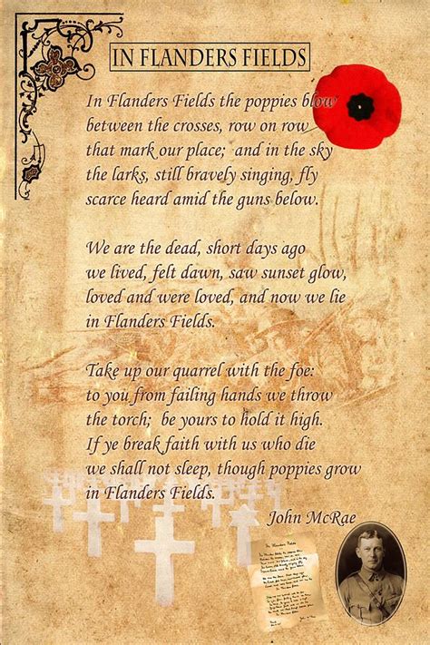 In Flanders Fields Poem Printable