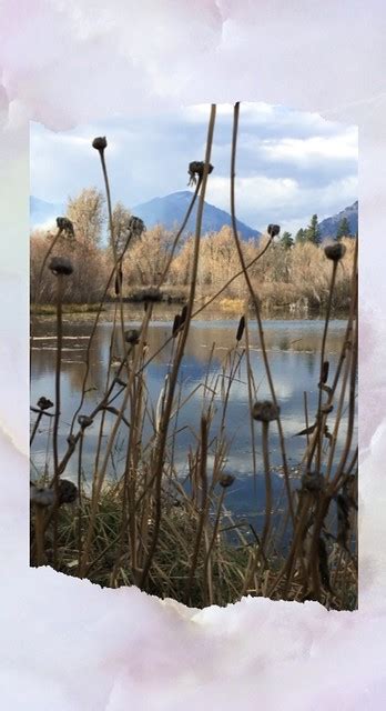 The Pond Debra Mann Flickr