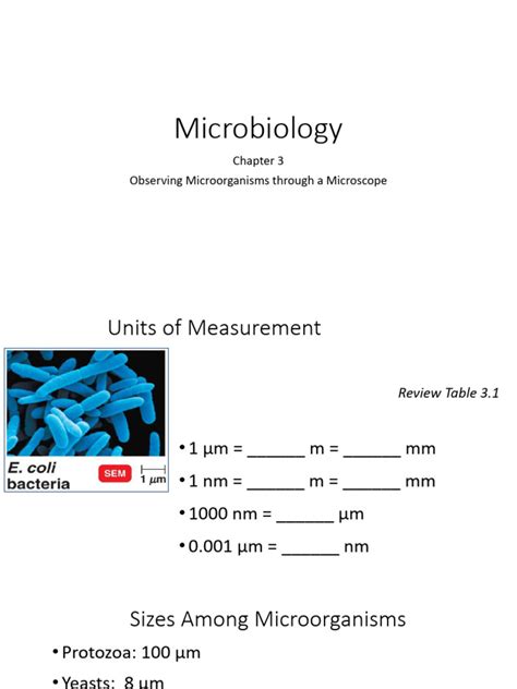 Lecture 3 Observing Microorganisms Through a Microscope | PDF ...