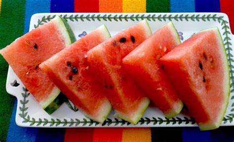 Lifestyle & Family News in Willingboro, NJ | Burlington County Times