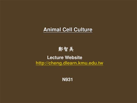 PPT Animal Cell Culture 鄭智美 Lecture Website cheng dlearn kmu tw