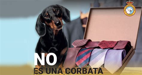 No Es Una Corbata La Real Sociedad Canina Lanza Una Campaña Para