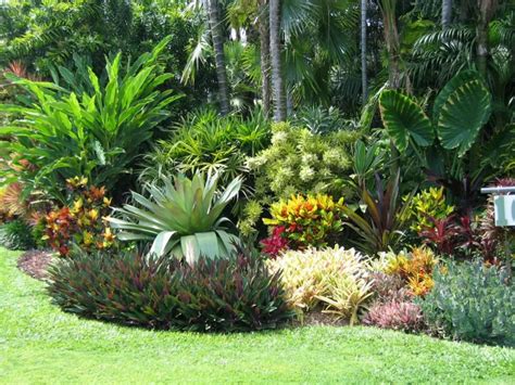 6 astuces pour créer un jardin exotique chez soi