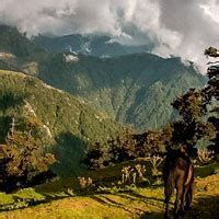 Dalhousie Tour Package With Chamba Khajjiar Dharamshala 7968