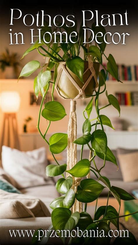 Pothos Plant In Home Decor For Cozy Spaces 🏠🌿🌱 In 2024 Plant Office Decor Pothos Plant