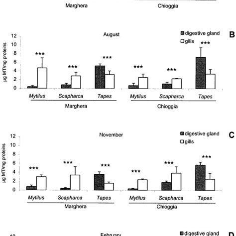 Mt G Mg Of Protein Determined In The Digestive Gland And Gills Of M Download Scientific