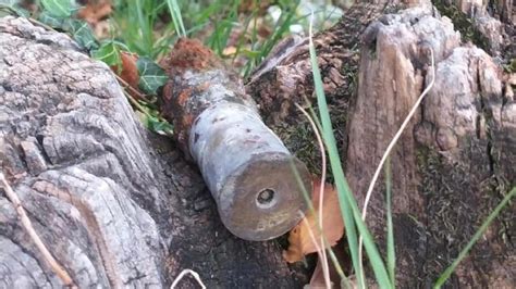 Oggebbio Un Proiettile Di Cannone Trovato Da Un Turista Nei Fondali