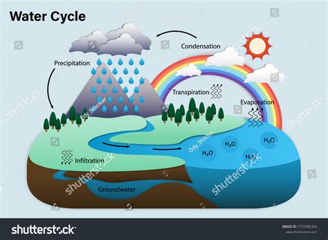 58,311 imágenes de Cycles of science - Imágenes, fotos y vectores de ...