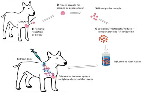 What Is In The 5 In 1 Vaccine For Dogs