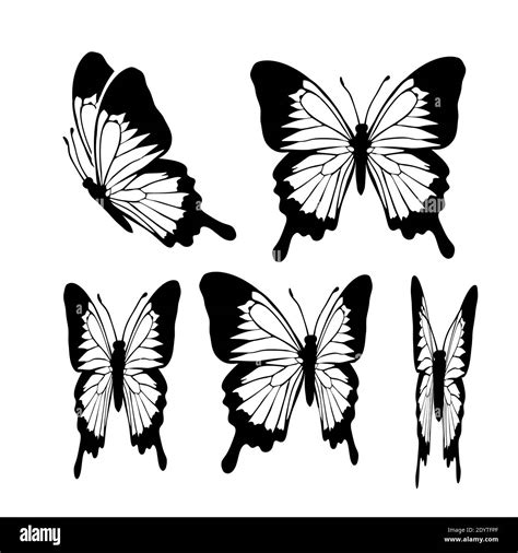 Gr Fico Volando Mariposas En Blanco Y Negro Ilustraci N Vectorial