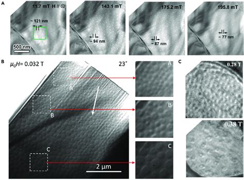 SMTs Modulated By Magnetic Field And Specimen Thickness A The Lorentz