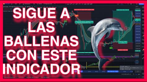 He Probado El Mejor Indicador De Tradingview Veces Para Seguir A