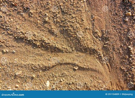 Water erosion stock image. Image of sand, textures, soil - 251154809